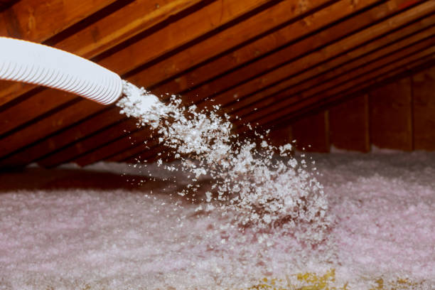 Best Local Insulation Services  in Holiday Shores, IL