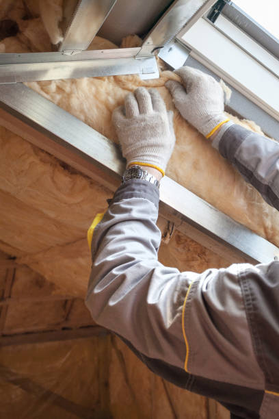Best Crawl Space Insulation  in Holiday Shores, IL