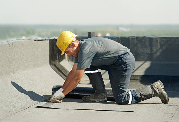 Best Insulation Inspection Services  in Holiday Shores, IL