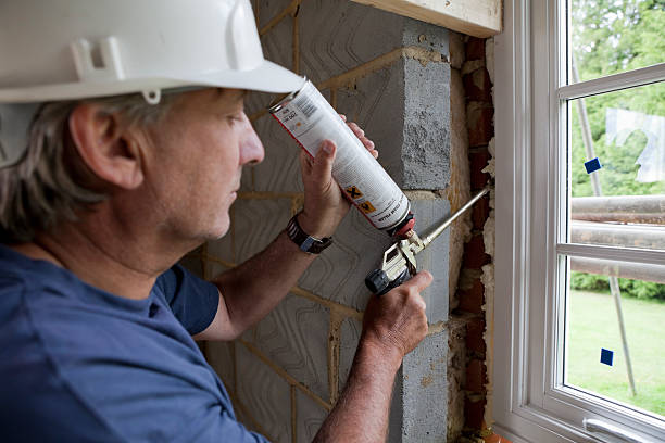 Best Home Insulation Services  in Holiday Shores, IL