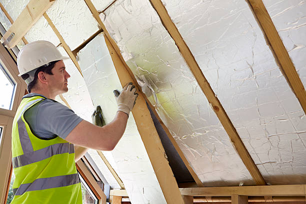 Best Cellulose Insulation  in Holiday Shores, IL