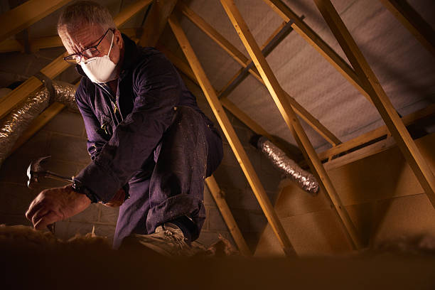 Insulation Replacement Services in Holiday Shores, IL